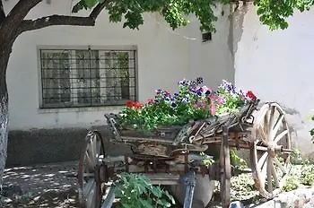 Yildiz أوروغوبْ